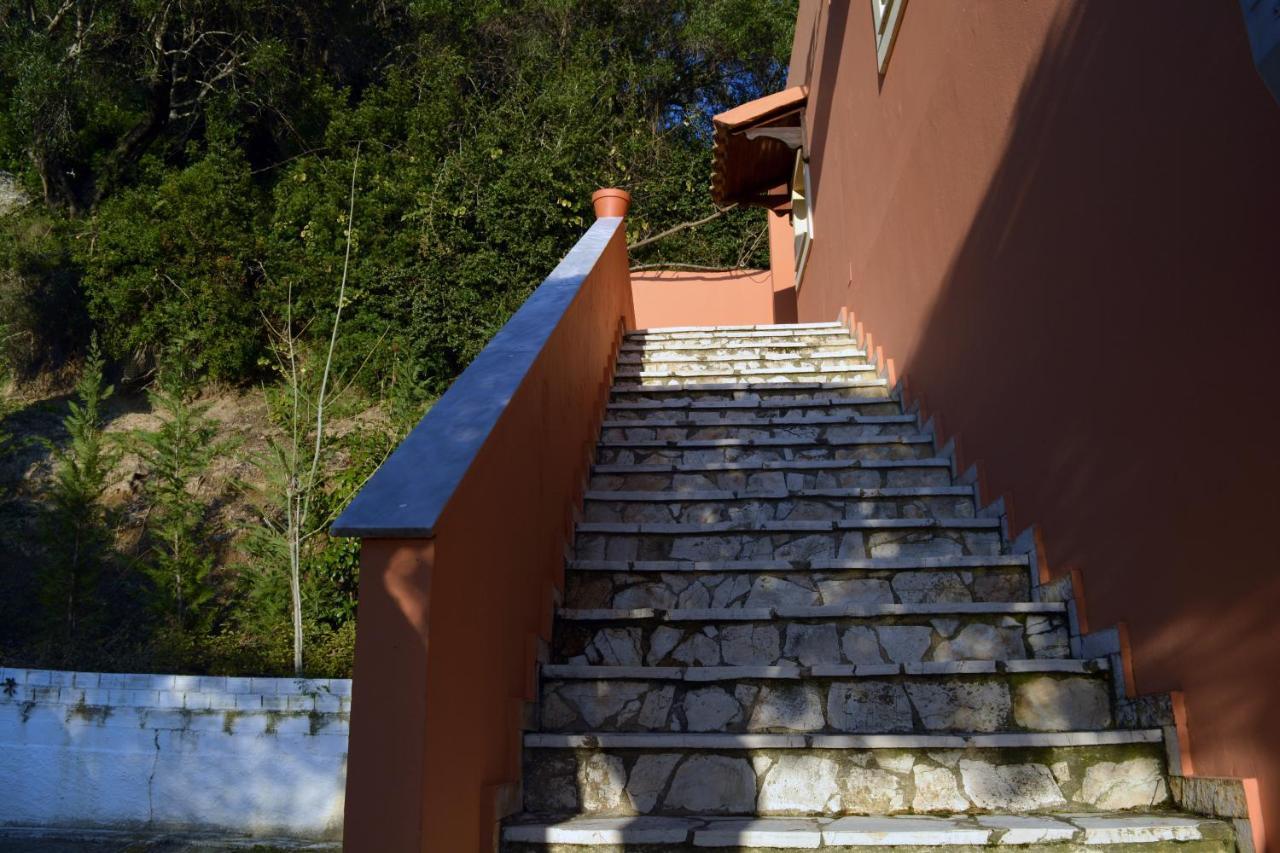 Papadatos Apts With Amazing View - 5Mins From The Beach Kontogialos Exterior photo